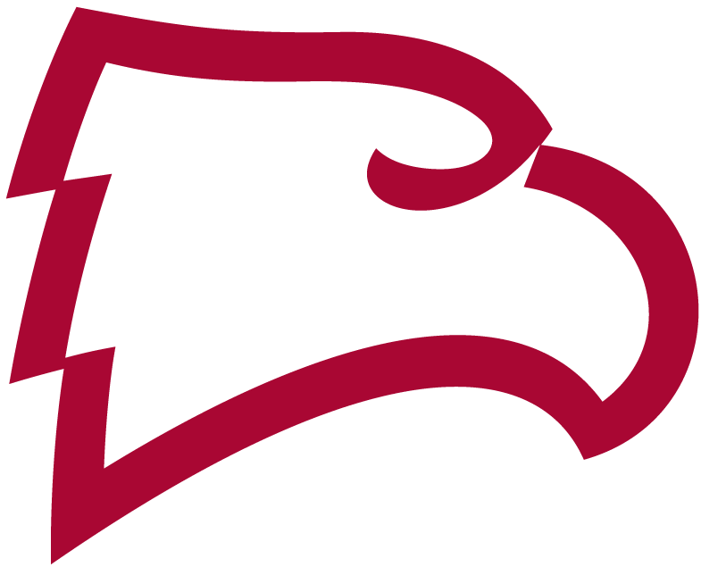 Winthrop Eagles 1995-Pres Alternate Logo v3 diy DTF decal sticker